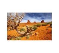 DKJAHSEK Décoration d'aquarium, Affiche décorative, Paysage désertique, Aquarium, Autocollant(Color3,50x80cm)