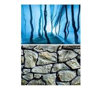 DKJAHSEK Fond D Aquarium Décoration d'aquarium, Peinture de Fond, Paysage d'aquarium, océan, Plantes Marines, Toile de Fond(Color7,50x80cm)