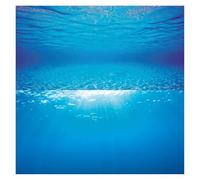 DKJAHSEK Fond d'aquarium Double Face(Color5,60X30CM)