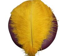 DKJAHSEK Plumes d'autruche colorées de 35 à 40 cm, Accessoires Bijoux Faire soi-même, décorations Mariage, Plumes pour Décoration de la Maison Décoration D'intérieu(Golden,20PCS)