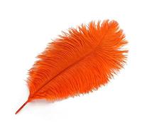 DKJAHSEK Plumes d'autruche colorées de 35 à 40 cm, Accessoires Bijoux Faire soi-même, décorations Mariage, Plumes pour Décoration de la Maison Décoration D'intérieu(Orange,10PCS)