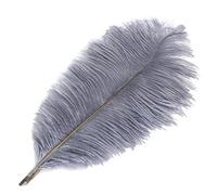 DKJAHSEK Plumes d'autruche colorées de 35 à 40 cm, Accessoires Bijoux Faire soi-même, décorations Mariage, Plumes pour Décoration de la Maison Décoration D'intérieu(Gray,500PCS)