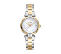 DKNY Montre à Quartz Essential Mini Quartz 5 ATM