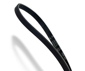 DL-pro Courroie Trapézoïdale 1930 PH 6 pour Ariston Indesit C00031321 Whirlpool Bauknecht 482000026174 Nervurée Hutchinson 6PH1930 pour Sèche-linge et Lave-linge