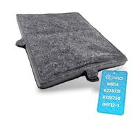 DL-pro Filtre à charbon actif - 288 x 242 mm - Compatible avec Miele 6228731 DKF12-1 - Filtre à charbon - Filtre anti-odeurs pour hotte aspirante