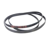 DL SERVICE Courroie moteur pour sécheuse Hotpoint Ariston, courroie rayée EL1965 7PH Code C00297210, remplacement compatible