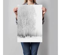 DLERFLOVR Minimalisme Impression sur Toile Bouleau Tableau Affiche Decoration Murale Gris Clair Image sur Toile Sans Cadre pour Salon Chambre Restaurant, 70x100cm