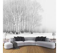 DLERFLOVR Papier Peint Panoramique 400x280cm Tapisserie de Soie Bouleau XXL Tableaux Muraux Minimalisme Décoration Murale pour Chambre Salon D'Enfant, Gris Clair