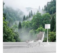 DLERFLOVR Papier Peint Panoramique Canopée Dense Des Arbres - 150x105cm - Revêtement mural décoration salon - Forêt Brumeuse 3D Poster Geant pour Salon Chambre restaurant Décoration, Vert