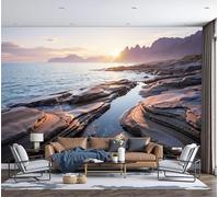 DLERFLOVR Papier Peint Panoramique Coucher De Soleil Sur La Côte Rocheuse 250x175cm Papier Peint de Soie Thème Bord De Mer Tableaux Muraux Décoration Murale pour Salon, Chambre, Fond TV, Brun