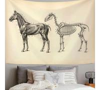 DLERFLOVR Tapisserie Murale - Anatomie Du Cheval Couverture Murales - 230x180 cm Tapisseries Esthétique Illustrations Médicales Décoration Panoramique pour Maison Salon Chambre Dortoir, Beige