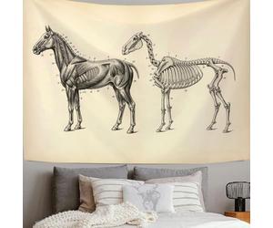 DLERFLOVR Tapisserie Murale Anatomie Du Cheval Couverture Murales Illustrations Médicales Tenture Murale Beige Tapisseries Decoration Murales pour Salon Chambre Dortoir, 200x150 cm