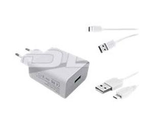 DLH Adaptateur secteur Energy - 20 W - USB - Pour Smartphone, Tablette PC - 120 V AC, 230 V AC Entrée - 12 V DC/3 A, 9 V DC, 3,5 V