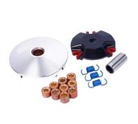 DLH Variator Kit avec Roller Weights Drive Pulley Compatible avec Jog 50 3KJ 1PE40QMB Modèles de Moteur Scooter