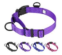 Dlitk Martingale Collier pour chien, collier réfléchissant réglable en nylon pour dressage de chiens, collier ras du cou anti-traction pour chiens de taille moyenne et grande (L, violet)