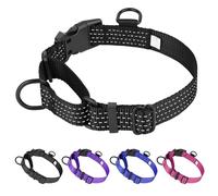 Dlitk Martingale Collier pour chien, collier réfléchissant réglable en nylon pour dressage de chiens, collier ras du cou anti-traction pour chiens de taille moyenne et grande (L, noir)