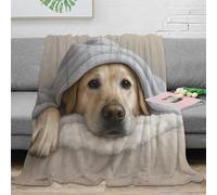 DLONIRPEX 3D Imprimé Mignon Chien Portrait Plaid de Voyage Microfibre Realistic Animal Painting Couverture Compact pour Étudiants Campeurs Jeunes Adultes 60x80inch(150x200cm)