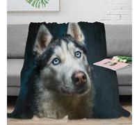 DLONIRPEX 3D Imprimé Siberian Husky Couverture de Lit Microfibre Toutes Saisons Painting Portrait Plaid de Voyage Compact pour Étudiants Campeurs Jeunes 60x80inch(150x200cm)
