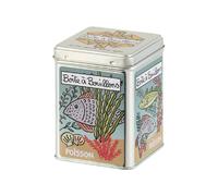 DLP - Boîte à Bouillons en Métal - Poisson Vintage