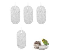 DLPRK Pierre à Ronger Minérale 4 Pièces Ovale - Hamster, Perroquet, Lapin. Taille 9.5x4.5x1.5cm pour Rongeurs & Petits Animaux | Assure usure dentaire naturelle et santé bucco-dentaire.
