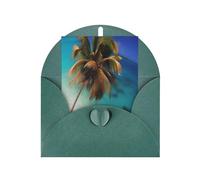 DLXW Cartes de remerciement vierges avec enveloppes invitant parents, amis, frères, sœurs, voisins, collègues, carte de vœux îles des Caraïbes