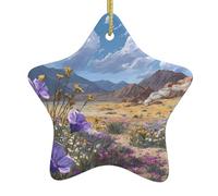 DLXW Pendentif en forme d'étoile en céramique pour sapin de Noël Motif fleurs sauvages du désert Maisons, centres commerciaux, supermarchés et magasins