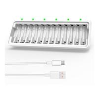 Dlyfull Chargeur de batterie 12 piles AA AAA NI-MH NI-CD avec port d'entrée micro USB pour piles AAA et AA