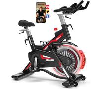 DMASUN Velo d Appartement Pour la Maison, Professional Silencieux Vélo d'appartement Avec Résistance Magnétique, Vélo de Fitness d'Intérieur Avec Absorption Chocs, Siège Confortable, Capacité 180KG