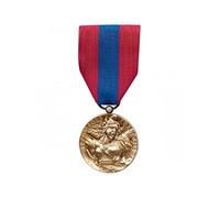 DMB PRODUCTS - 580050 - Medaille Ordonnance Defense Nationale Bronze - DEMO03DENAT