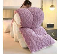 DMBAOD Couette en Velours d'agneau,Couverture Tres Chaude,Edredon Épais Hiver, Couverture Très Chaude et Super Douce pour 2 Personnes Violet 150x200cm 4kg