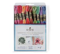 DMC F25PK36 Lot de 36 Fils à Broder panachés