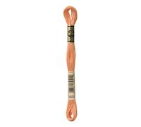 Fil Mouliné DMC Gold Concept 8M Col. 3825 Broderie