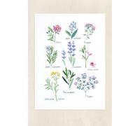 DMC - Herbiers par Nathalie Weinzaepflen, niveau avancé, kit point de croix