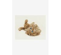DMC Kit Point de Croix Motif Chaton Jouer, 100% Coton, Multicolore