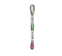DMC Garn – Fil mouliné Coloris – 4 couleurs distinctes/échevette – 8 m, 6 brins – 24 coloris
