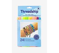 DMC - Pack de 24 échevettes multi-brins (8 m) - Couleurs Néon - Fil à broder et à coudre | Kit pour broderie point de croix, tricotage, bracelet brésilien, loisirs créatifs