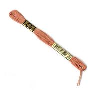 DMC Stranded Nombre Shade cotton 3859
