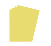 DMiotech 4 Paquet Correction Gel Lumiere Filtre Superposition Transparent Mat Jaune pour Photo, ClairCinéma, Vidéo