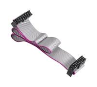 DMiotech Câble Ruban Plat IDC de 14 Broches, Pas de 2,54 mm, Longueur de 30 Cm, Connecteur FC à FC, Fil de Liaison de Type A Gris pour Ordinateur, Affichage LED, DVD