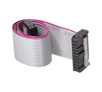 DMiotech Câble Ruban Plat IDC de 20 Broches, Pas de 2,54 mm, Longueur de 30 Cm, Connecteur FC à FC, Fil de Liaison de Type A Gris pour Ordinateur, Affichage LED, DVD