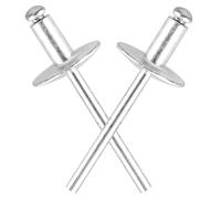 DMJJSD Rivets Aveugles 50 Pièces Rivet Aveugle À Grande Bride Rivets à Grande Bride Rivet Aveugle à Dôme à Grande Tête DIN 7337C rivets en aluminium et mandrin en acier rivets pop (4,8x10 (16) mm