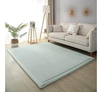 Dmkjdzsw Tapis d'éveil antidérapant en velours corail, 2 cm d'épaisseur, bleu ciel, 60 x 180 cm