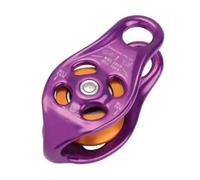 Dmm Poulie Pinto Rig Violet 96 x 45 x 38 mm