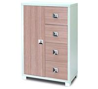 Dmora Armoire 1 porte 4 tiroirs 2 étagères réglables