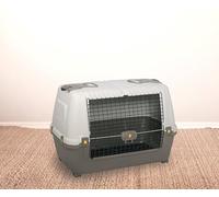 Dmora - Cage de transport rigide pour chien ou chat Gistel, cage portable avec tapis, 100% Made in Italy, Beige et Marron, 99x60h68 cm