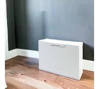 Dmora - Étagère à chaussures Gouvry, Étagère à chaussures peu encombrante, Étagère à chaussures d'entrée, Meuble à chaussures 1 porte, 100% Made in Italy, 51x17h40 cm, Blanc