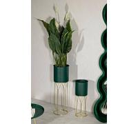 Dmora - Lot de 2 Porte-vases Rangitikei, Complément de décoration, Article décoratif, Accessoire de décoration, 23x23 h70 cm, Vert et Or