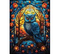 DMQBT 1000 Pièces - Coloré - Puzzle Difficile - Colour Owlss Affiche - Jouets De Puzzle Anti Stress pour Adultes - Jeux De Mémoire Et De Cognition pour Personnes Âgées - DX353ZW