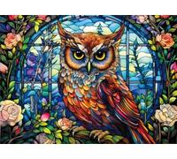 DMQBT 1000 Pièces - Coloré - Puzzle Difficile - Colour Owlss Affiche - Jouets De Puzzle Anti Stress pour Adultes - Jeux De Mémoire Et De Cognition pour Personnes Âgées - DX351ZW