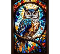 DMQBT 1000 Pièces - Coloré - Puzzle Difficile - Colour Owlss Affiche - Jouets De Puzzle Anti Stress pour Adultes - Jeux De Mémoire Et De Cognition pour Personnes Âgées - DX352ZW
